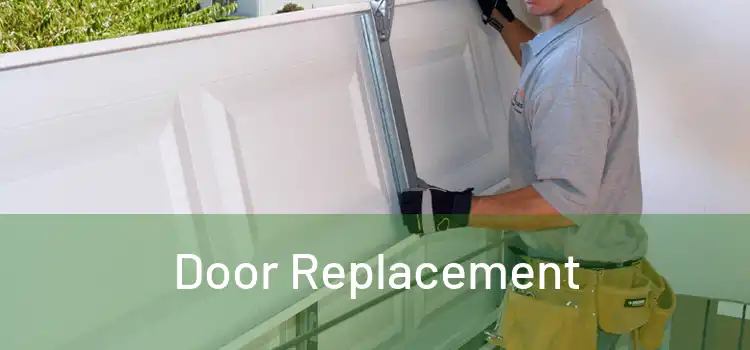  Door Replacement 